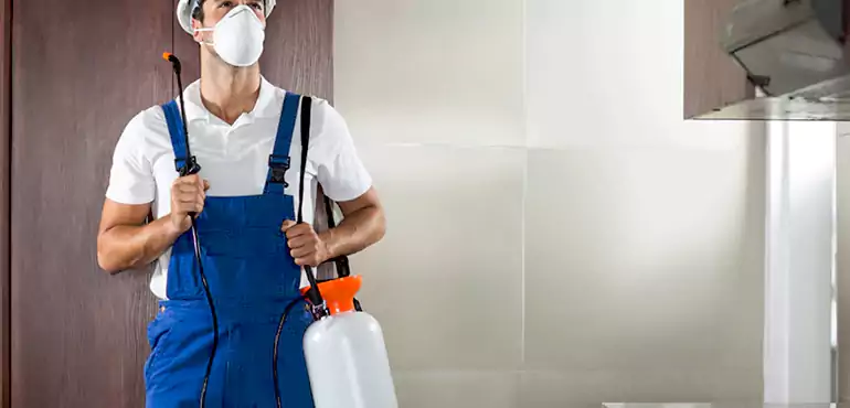 Why Hayward Homeowners Choose Us When Pests Make Selling Difficult