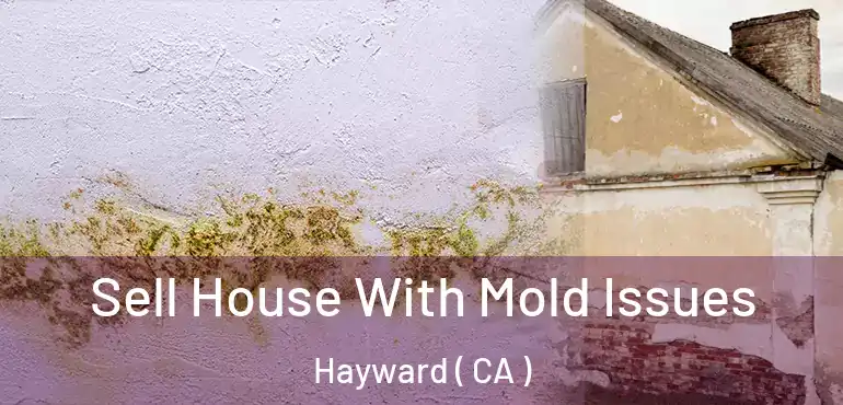  Sell House With Mold Issues Hayward ( CA )